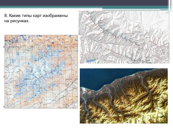 8. Какие типы карт изображены на рисунках.