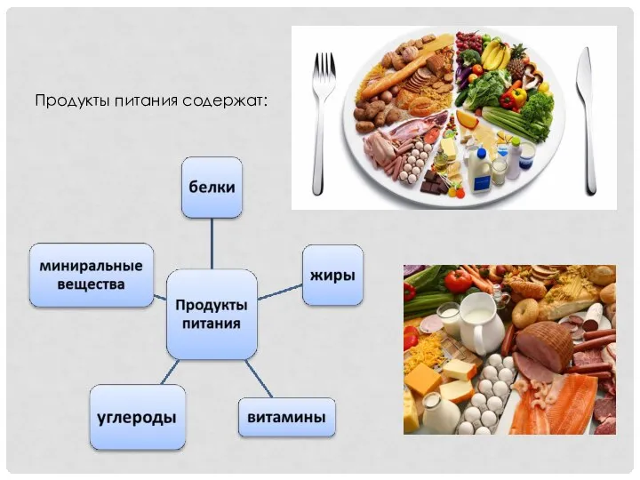 Продукты питания содержат: