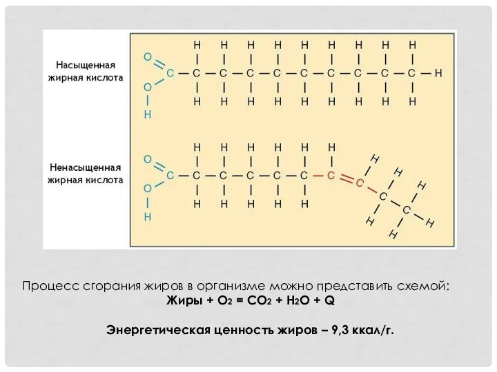 Процесс сгорания жиров в организме можно представить схемой: Жиры + О2