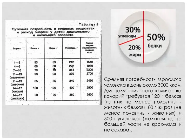 Средняя потребность взрослого человека в день около 3000 ккал. Для получения