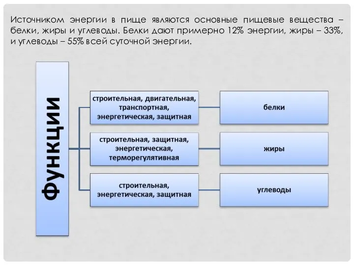 Источником энергии в пище являются основные пищевые вещества – белки, жиры