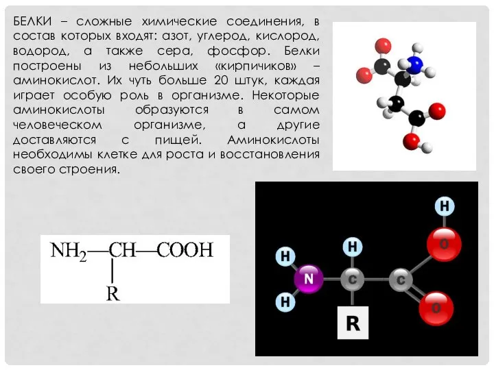 БЕЛКИ – сложные химические соединения, в состав которых входят: азот, углерод,