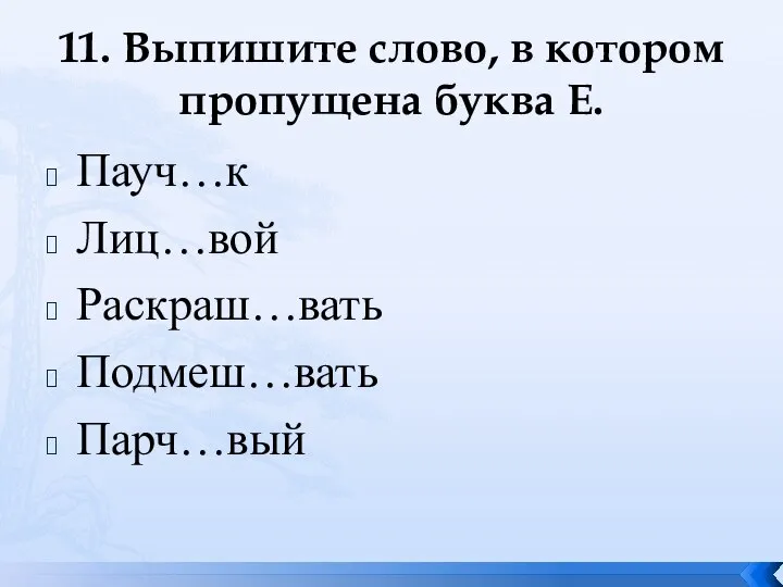 11. Выпишите слово, в котором пропущена буква Е. Пауч…к Лиц…вой Раскраш…вать Подмеш…вать Парч…вый