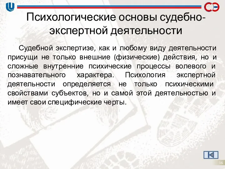 Психологические основы судебно-экспертной деятельности Судебной экспертизе, как и любому виду деятельности