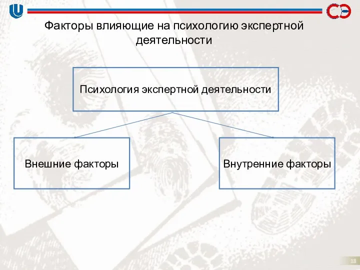 Факторы влияющие на психологию экспертной деятельности Внешние факторы Внутренние факторы Психология экспертной деятельности