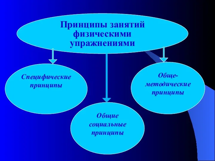 Принципы занятий физическими упражнениями Специфические принципы Общие социальные принципы Обще-методические принципы