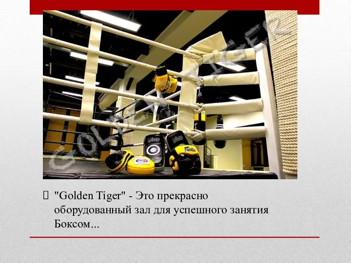 "Golden Tiger" - Это прекрасно оборудованный зал для успешного занятия Боксом...