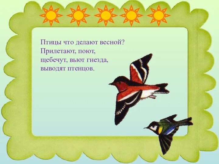 Птицы что делают весной? Прилетают, поют, щебечут, вьют гнезда, выводят птенцов.