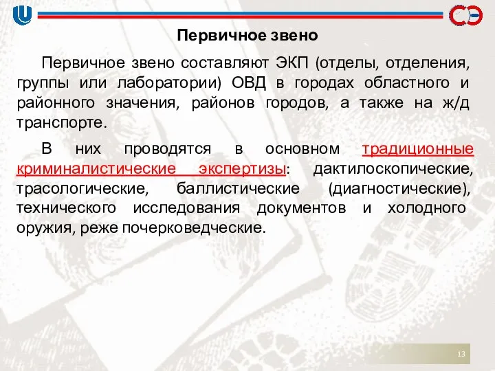 Первичное звено Первичное звено составляют ЭКП (отделы, отделения, группы или лаборатории)