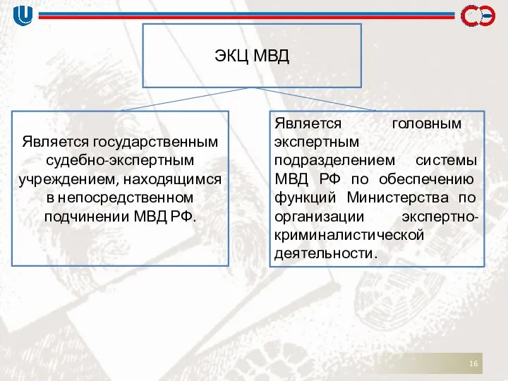 ЭКЦ МВД Является государственным судебно-экспертным учреждением, находящимся в непосредственном подчинении МВД