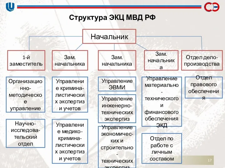 Структура ЭКЦ МВД РФ Начальник 1-й заместитель Зам. начальника Зам. начальника