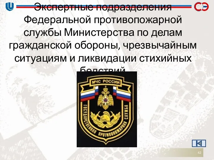 Экспертные подразделения Федеральной противопожарной службы Министерства по делам гражданской обороны, чрезвычайным ситуациям и ликвидации стихийных бедствий