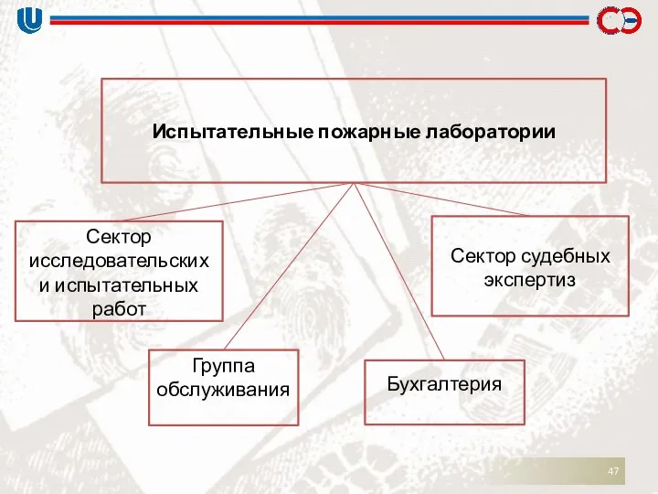 Испытательные пожарные лаборатории Сектор исследовательских и испытательных работ Сектор судебных экспертиз Группа обслуживания Бухгалтерия