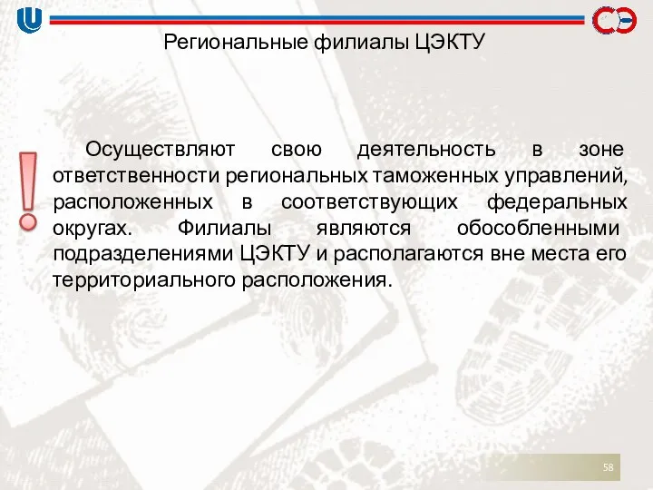 Региональные филиалы ЦЭКТУ Осуществляют свою деятельность в зоне ответственности региональных таможенных