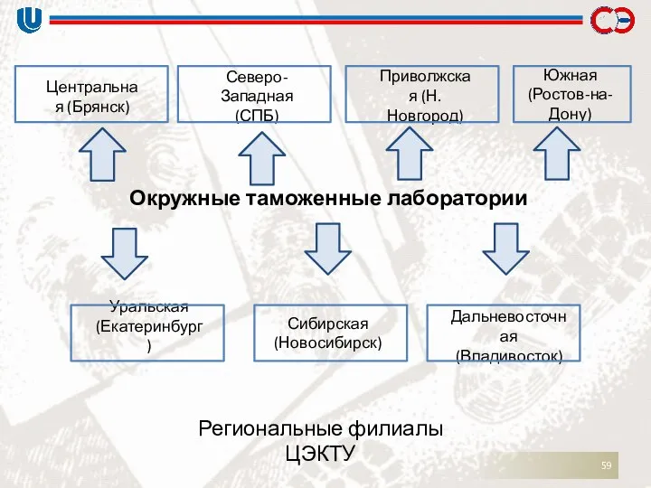 Окружные таможенные лаборатории Центральная (Брянск) Северо-Западная (СПБ) Приволжская (Н.Новгород) Южная (Ростов-на-Дону)