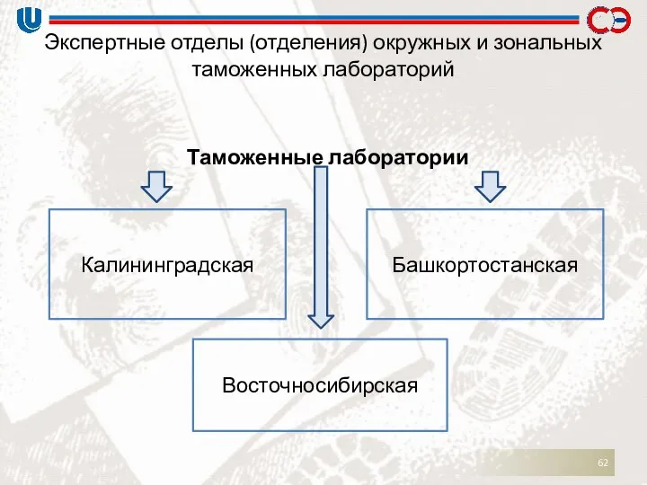 Экспертные отделы (отделения) окружных и зональных таможенных лабораторий Таможенные лаборатории Калининградская Башкортостанская Восточносибирская