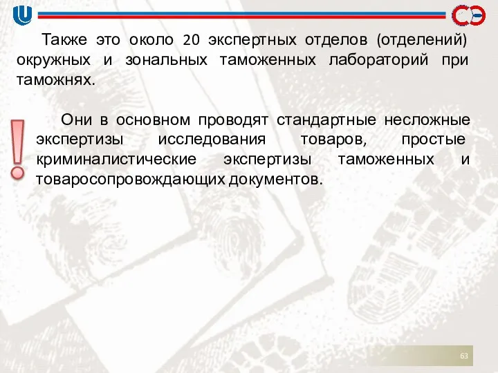 Также это около 20 экспертных отделов (отделений) окружных и зональных таможенных