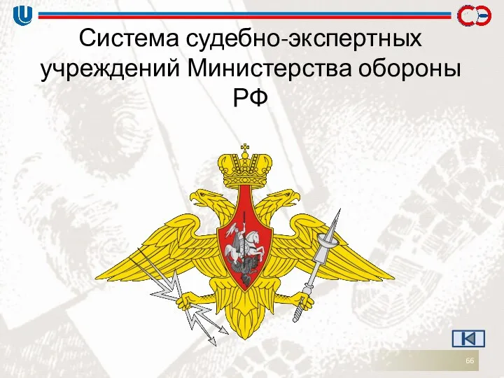 Система судебно-экспертных учреждений Министерства обороны РФ