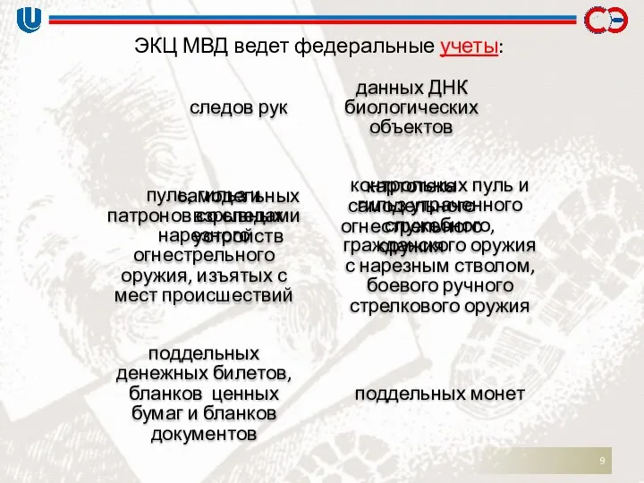 ЭКЦ МВД ведет федеральные учеты: следов рук данных ДНК биологических объектов