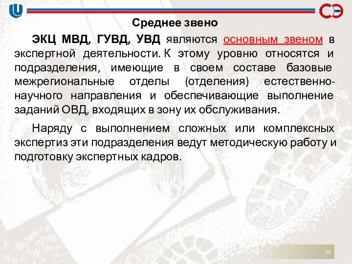 Среднее звено ЭКЦ МВД, ГУВД, УВД являются основным звеном в экспертной