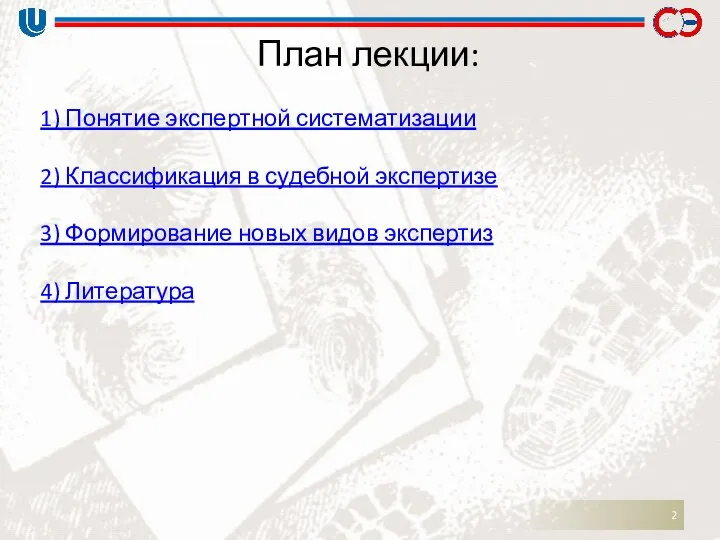 План лекции: 1) Понятие экспертной систематизации 2) Классификация в судебной экспертизе