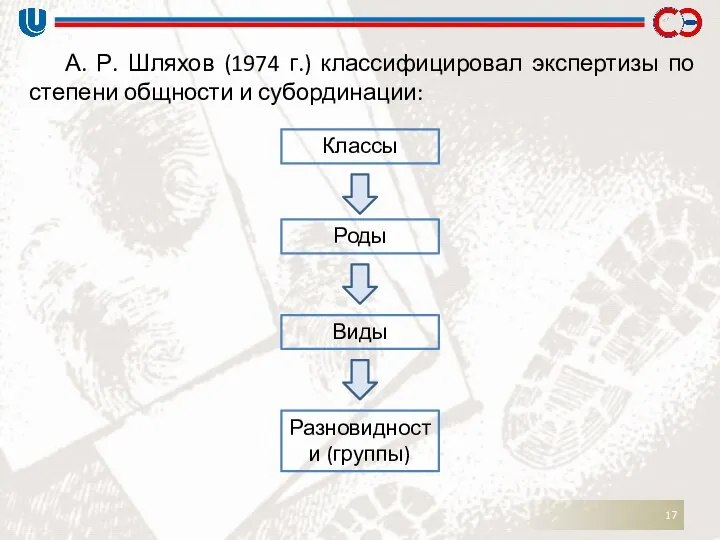 А. Р. Шляхов (1974 г.) классифицировал экспертизы по степени общности и