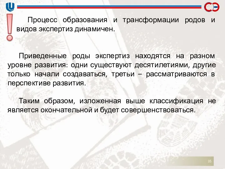 Процесс образования и трансформации родов и видов экспертиз динамичен. Приведенные роды