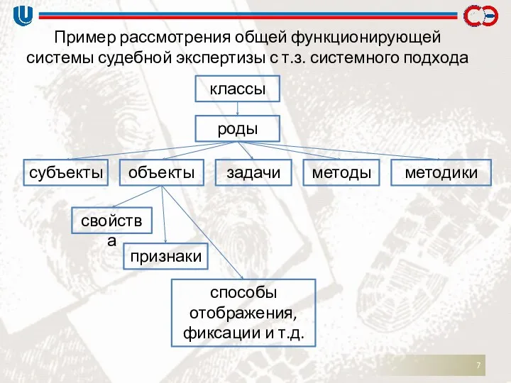 Пример рассмотрения общей функционирующей системы судебной экспертизы с т.з. системного подхода