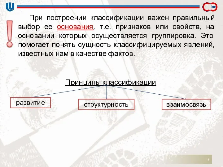 Принципы классификации При построении классификации важен правильный выбор ее основания, т.е.