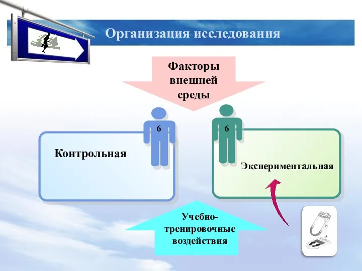 Организация исследования Контрольная 6 6 Учебно-тренировочные воздействия Факторы внешней среды