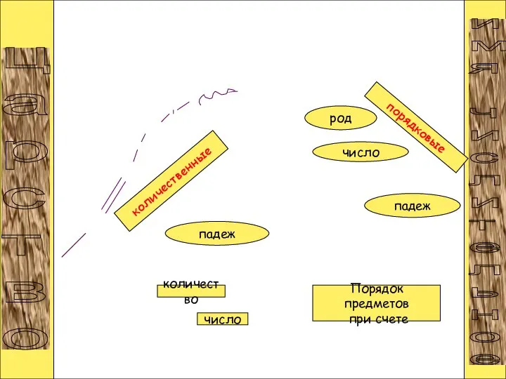 число ц а р с т в о и м я