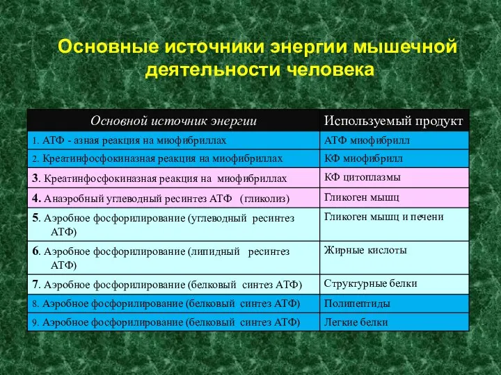 Основные источники энергии мышечной деятельности человека