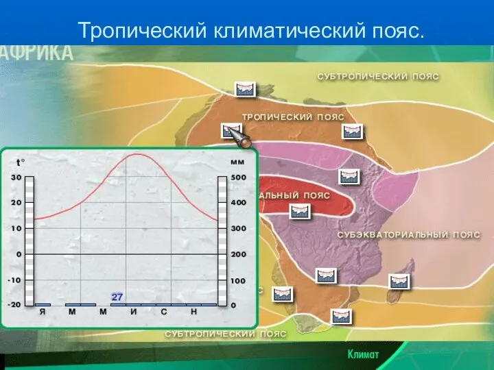 Тропический климатический пояс.