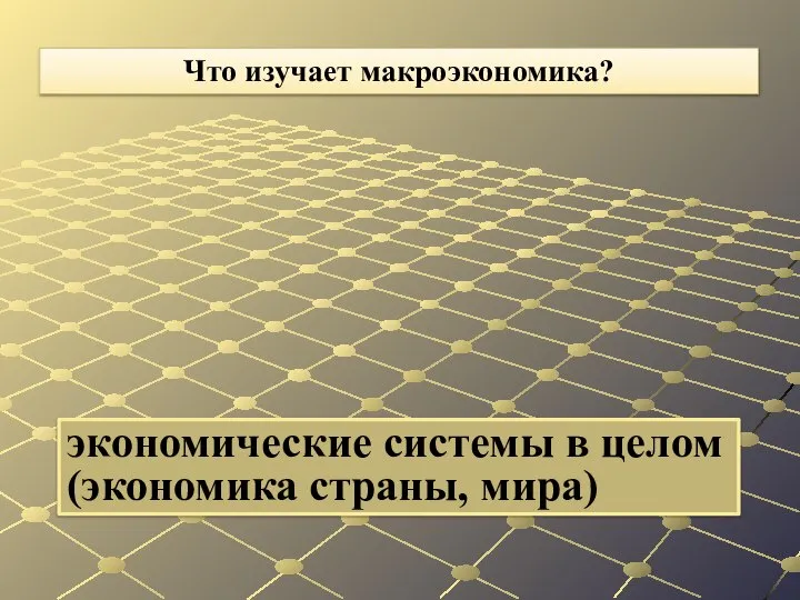 экономические системы в целом (экономика страны, мира) Что изучает макроэкономика?