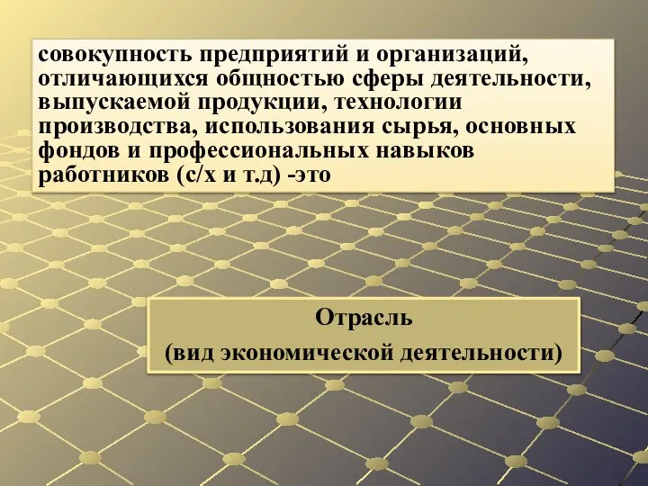 Отрасль (вид экономической деятельности) совокупность предприятий и организаций, отличающихся общностью сферы