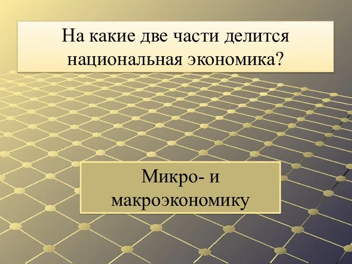 Микро- и макроэкономику На какие две части делится национальная экономика?