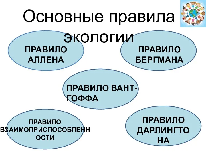 Основные правила экологии ПРАВИЛО АЛЛЕНА ПРАВИЛО БЕРГМАНА ПРАВИЛО ВАНТ-ГОФФА ПРАВИЛО ВЗАИМОПРИСПОСОБЛЕННОСТИ ПРАВИЛО ДАРЛИНГТОНА