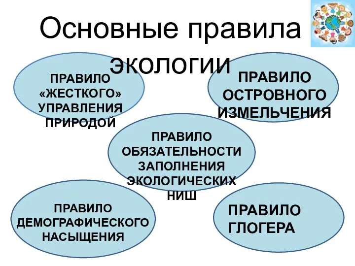 Основные правила экологии ПРАВИЛО ОСТРОВНОГО ИЗМЕЛЬЧЕНИЯ ПРАВИЛО ОБЯЗАТЕЛЬНОСТИ ЗАПОЛНЕНИЯ ЭКОЛОГИЧЕСКИХ НИШ