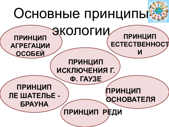 Основные принципы экологии ПРИНЦИП ЕСТЕСТВЕННОСТИ ПРИНЦИП ИСКЛЮЧЕНИЯ Г.Ф. ГАУЗЕ ПРИНЦИП ЛЕ