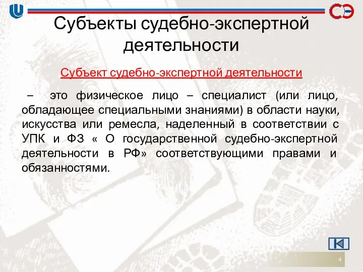 Субъекты судебно-экспертной деятельности Субъект судебно-экспертной деятельности – это физическое лицо –