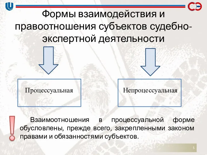 Формы взаимодействия и правоотношения субъектов судебно-экспертной деятельности Процессуальная Непроцессуальная Взаимоотношения в