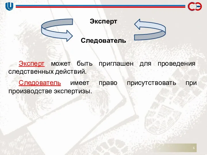 Эксперт Следователь Эксперт может быть приглашен для проведения следственных действий. Следователь