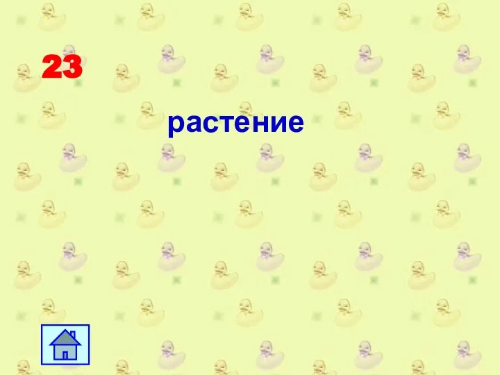 23 растение