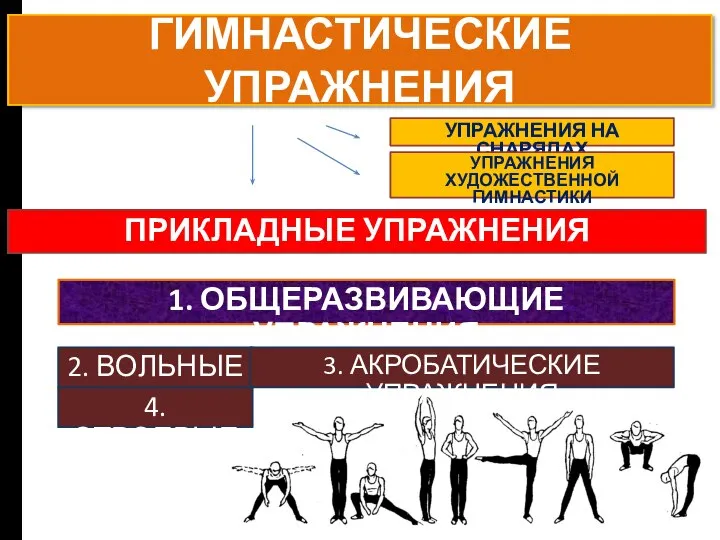 ГИМНАСТИЧЕСКИЕ УПРАЖНЕНИЯ ПРИКЛАДНЫЕ УПРАЖНЕНИЯ 4. СТРОЕВЫЕ 2. ВОЛЬНЫЕ УПРАЖНЕНИЯ НА СНАРЯДАХ