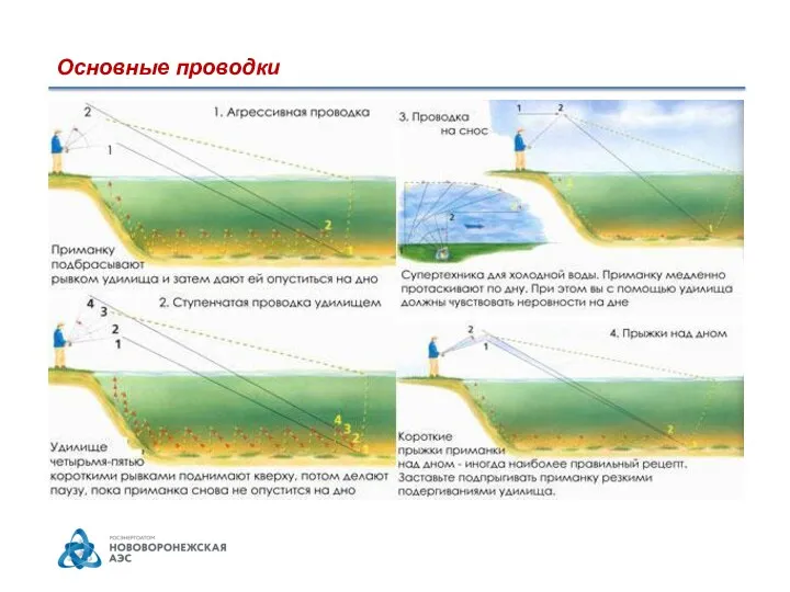 Основные проводки