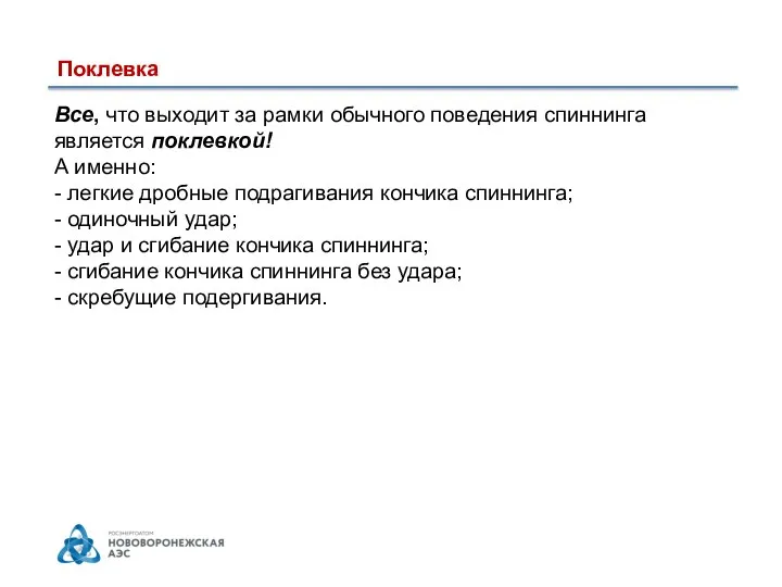 Поклевка Все, что выходит за рамки обычного поведения спиннинга является поклевкой!