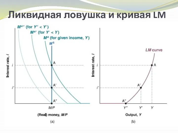 Ликвидная ловушка и кривая LM