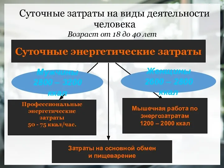 Суточные затраты на виды деятельности человека Возраст от 18 до 40