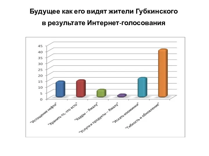 Будущее как его видят жители Губкинского в результате Интернет-голосования