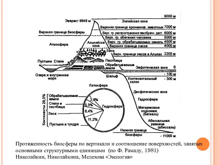 Протяженность биосферы по вертикали и соотношение поверхностей, занятых основными структурными единицами